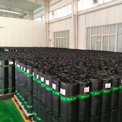 北京立高APP改性沥青防水卷材 高清细节图片与技术解析